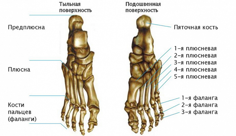 дыхание